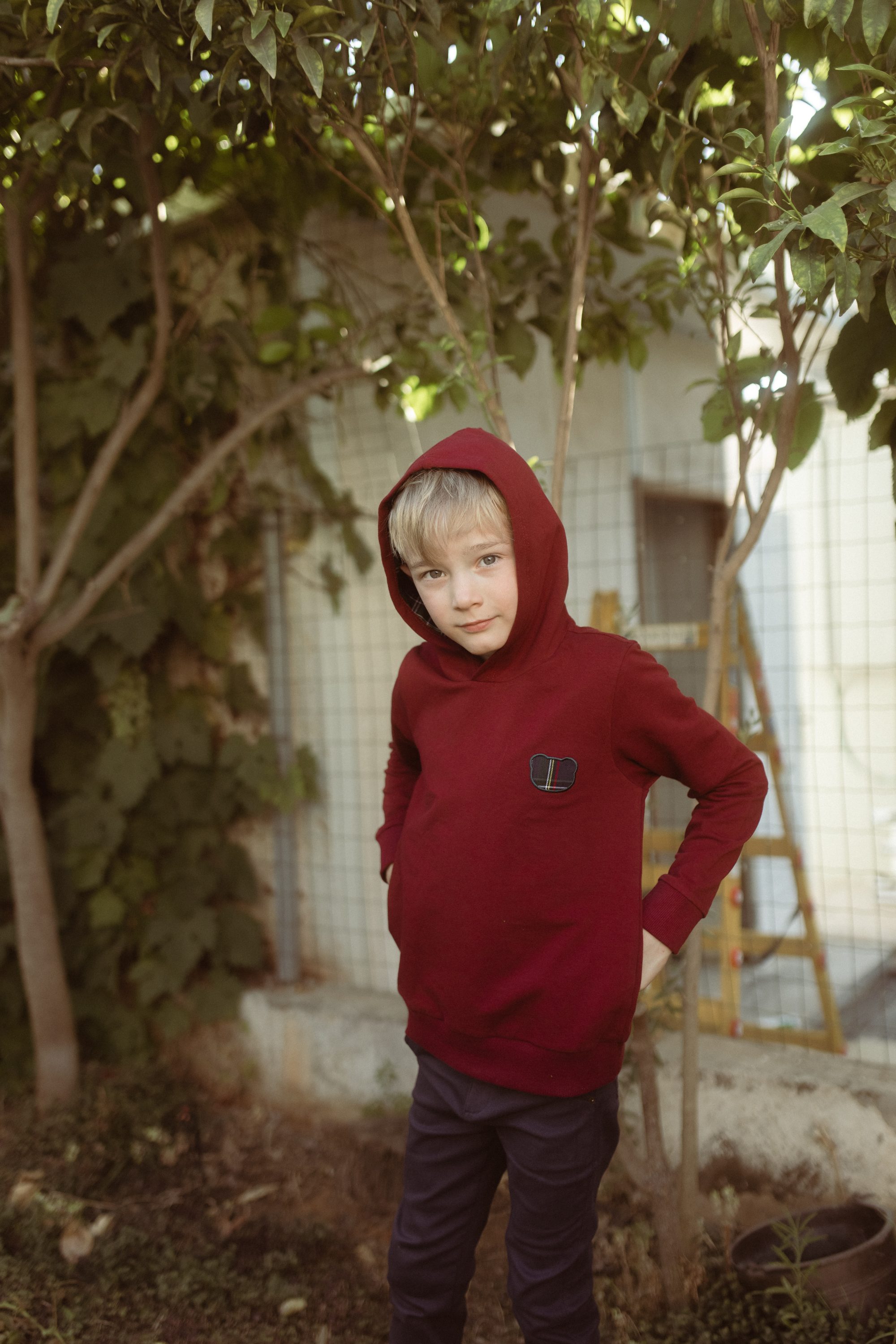 ⁦סוויטשירט סקוטי בנים⁩ – תמונה ⁦18⁩