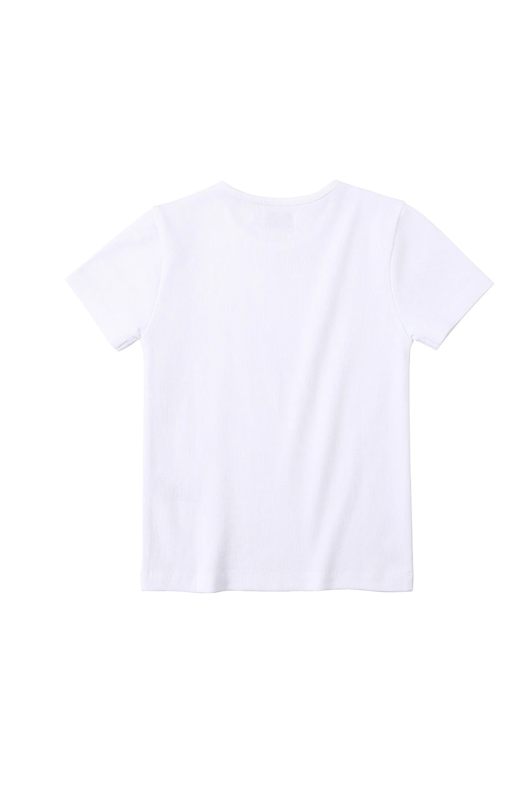 ⁦חולצה בייסיק שרוול קצר⁩ – תמונה ⁦5⁩