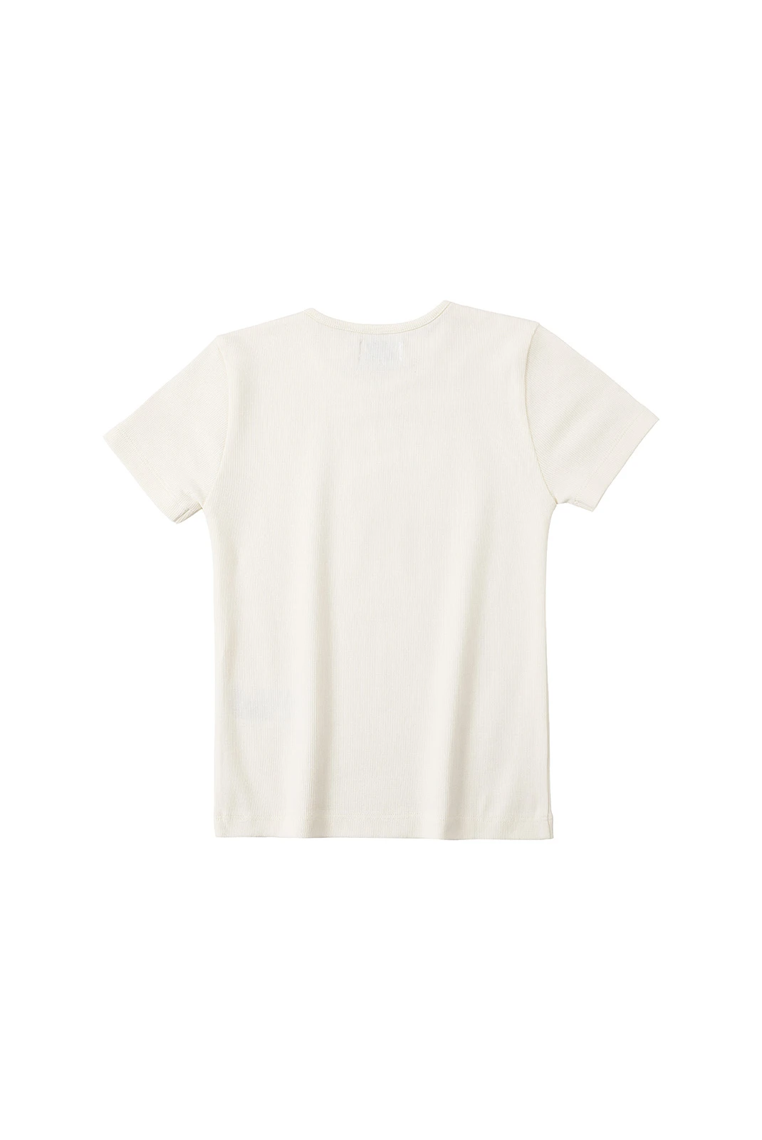 ⁦חולצה בייסיק שרוול קצר⁩ – תמונה ⁦5⁩